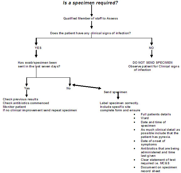 HPA Sampling Procedure HPA Sampling Procedure